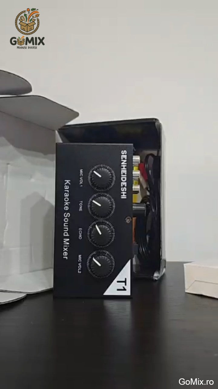 Mini mixer audio karaoke Senheideshi T1