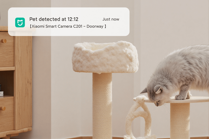 Camerã inteligentã Xiaomi C201